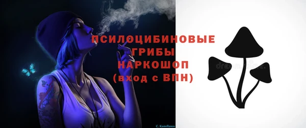 спайс Карпинск